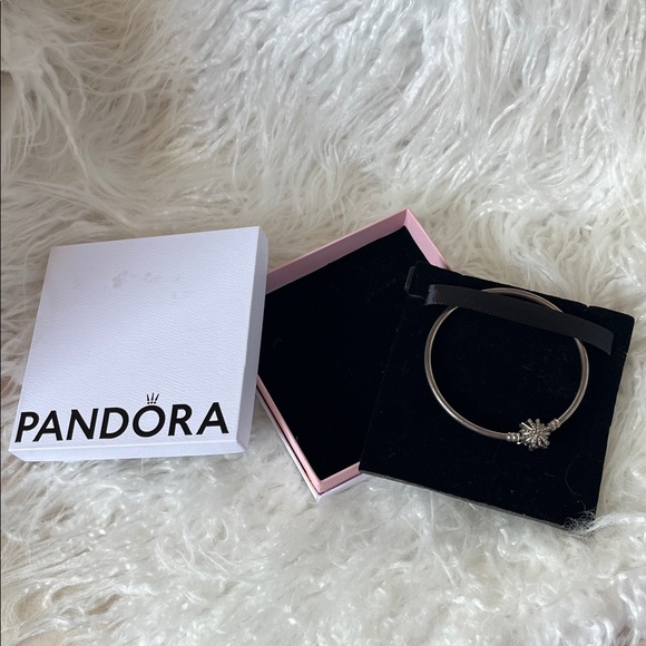 Pandora Silver Bracelet with Charm - Picture 9 of 11